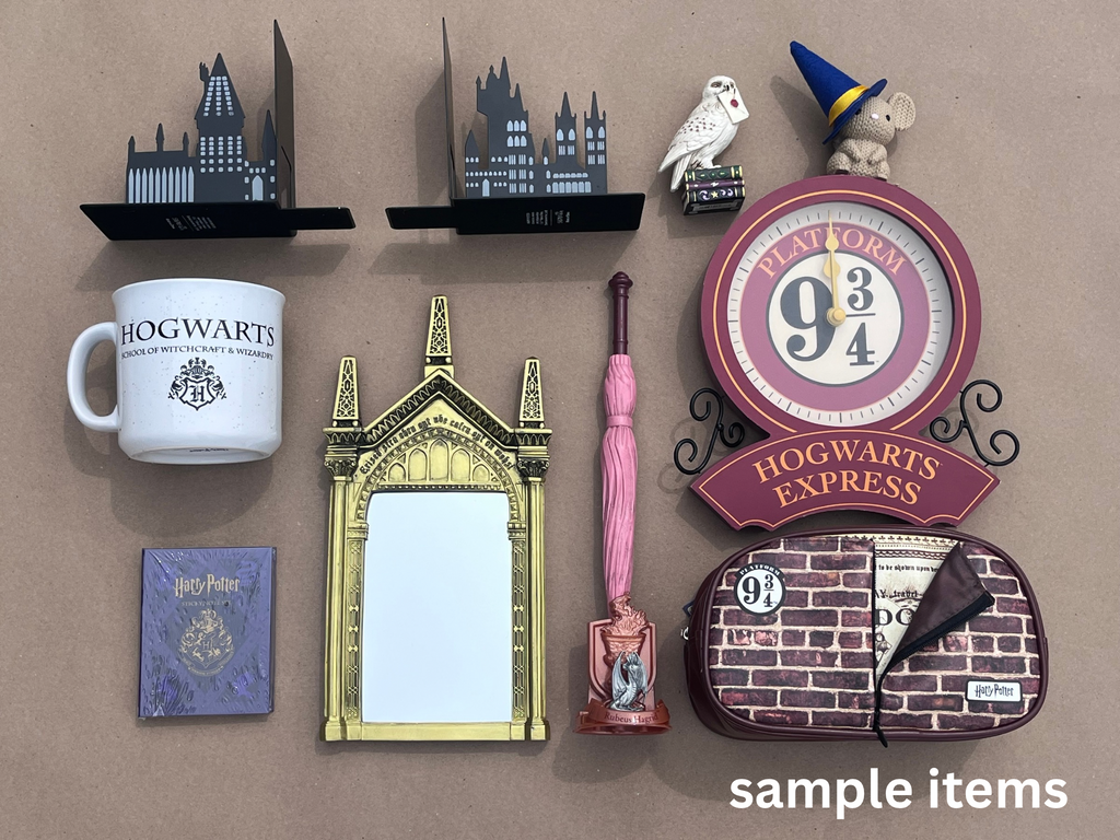 Wands & Wizards Fan Box