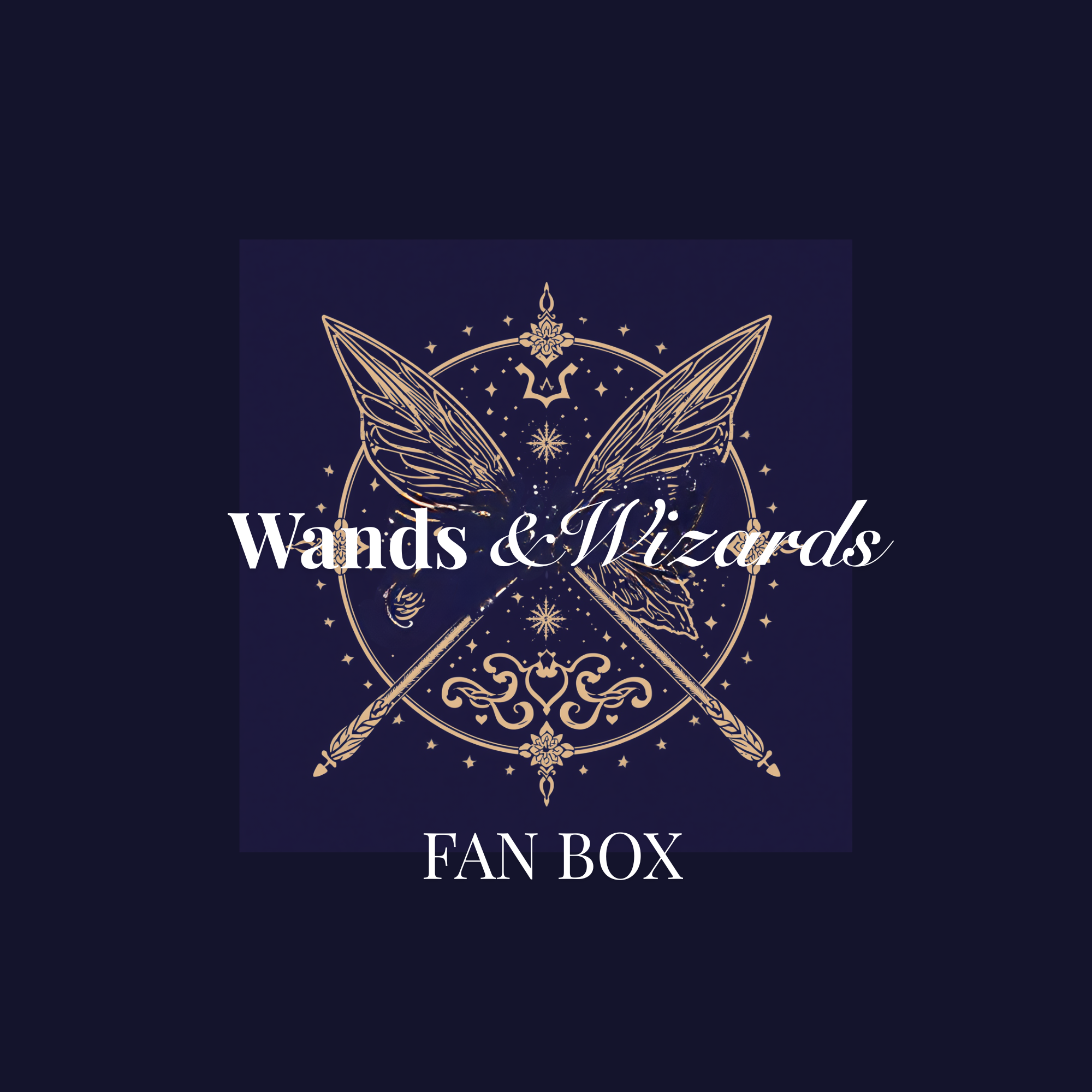 Wands & Wizards Fan Box